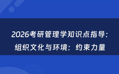 2026考研管理学知识点指导：组织文化与环境：约束力量