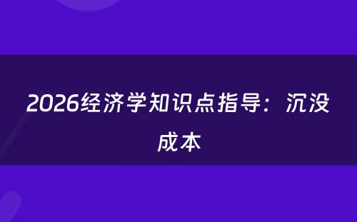 2026经济学知识点指导：沉没成本
