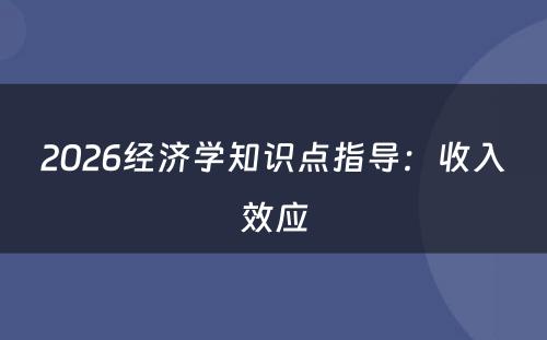 2026经济学知识点指导：收入效应