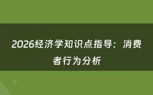 2026经济学知识点指导：消费者行为分析