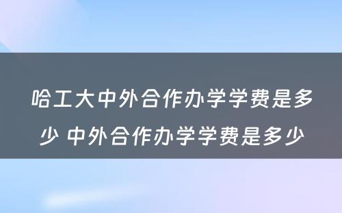 哈工大中外合作办学学费是多少 中外合作办学学费是多少