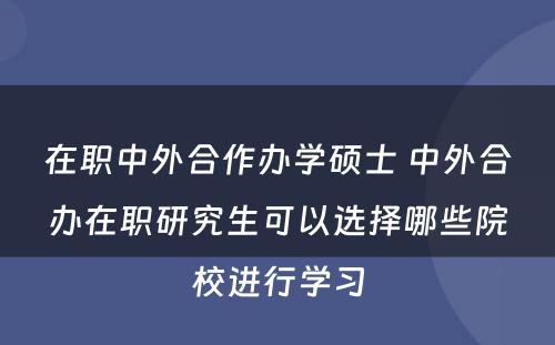 在职中外合作办学硕士 中外合办在职研究生可以选择哪些院校进行学习