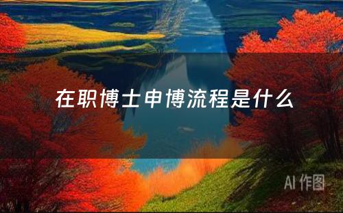  在职博士申博流程是什么