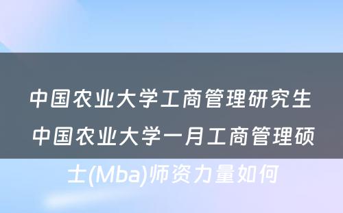 中国农业大学工商管理研究生 中国农业大学一月工商管理硕士(Mba)师资力量如何