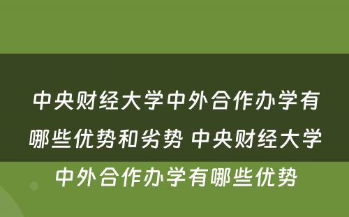 中央财经大学中外合作办学有哪些优势和劣势 中央财经大学中外合作办学有哪些优势