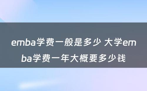 emba学费一般是多少 大学emba学费一年大概要多少钱