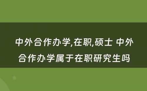 中外合作办学,在职,硕士 中外合作办学属于在职研究生吗