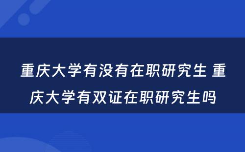 重庆大学有没有在职研究生 重庆大学有双证在职研究生吗