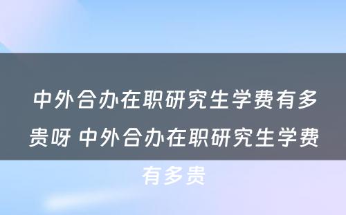 中外合办在职研究生学费有多贵呀 中外合办在职研究生学费有多贵