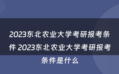 2023东北农业大学考研报考条件 2023东北农业大学考研报考条件是什么