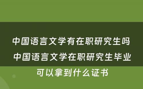 中国语言文学有在职研究生吗 中国语言文学在职研究生毕业可以拿到什么证书