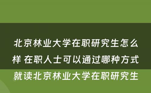 北京林业大学在职研究生怎么样 在职人士可以通过哪种方式就读北京林业大学在职研究生