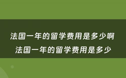 法国一年的留学费用是多少啊 法国一年的留学费用是多少