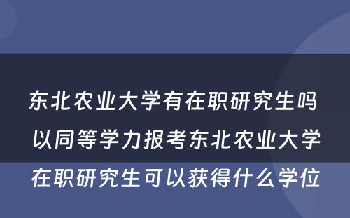 东北农业大学有在职研究生吗 以同等学力报考东北农业大学在职研究生可以获得什么学位